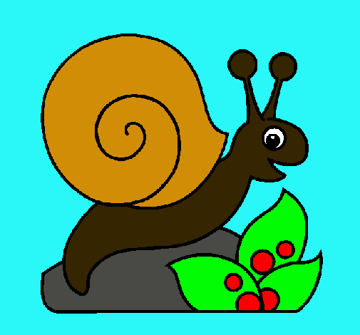 Caracol