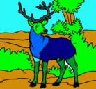 Dibujo Ciervo adulto pintado por joseramon