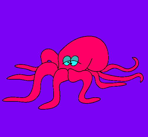 Pulpo