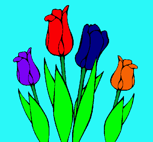 Tulipanes