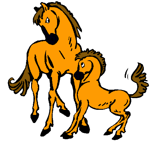 Caballos