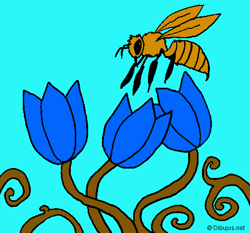 Abeja