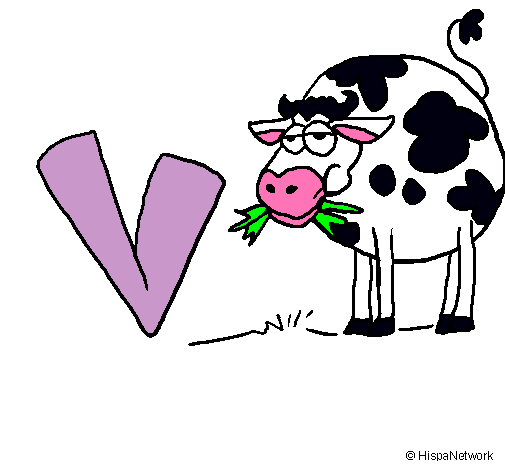 Vaca