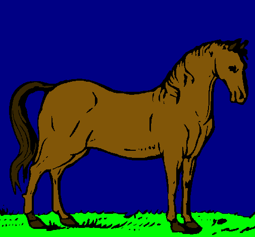 Caballo andaluz