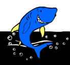 Dibujo Tiburón pintado por hgrdn