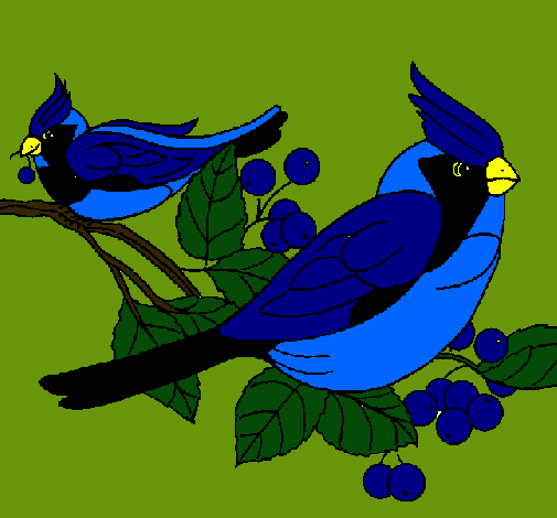Dibujo Pájaros pintado por ternu