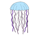 Dibujo Medusa pintado por acandi