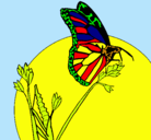 Dibujo Mariposa en una rama pintado por katia325
