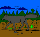 Dibujo Coyote pintado por tonydaiz