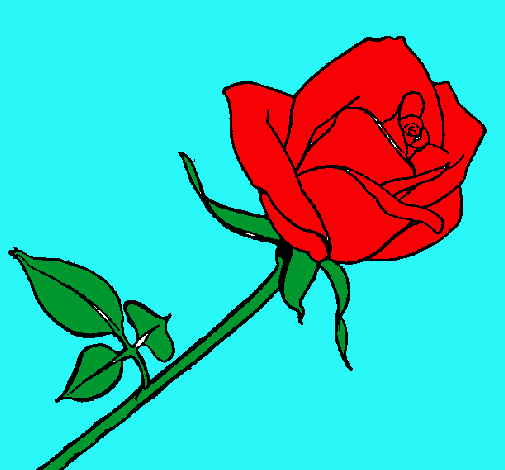 Dibujo Rosa pintado por danii_krys