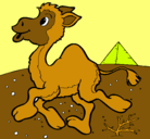 Dibujo Camello pintado por dreik