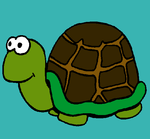 Tortuga