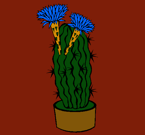 Cactus con flores