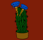 Dibujo Cactus con flores pintado por piky