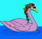 Dibujo Cisne con flores pintado por rayany31717