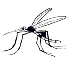 Dibujo Mosquito pintado por slvio