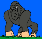 Dibujo Gorila pintado por migel