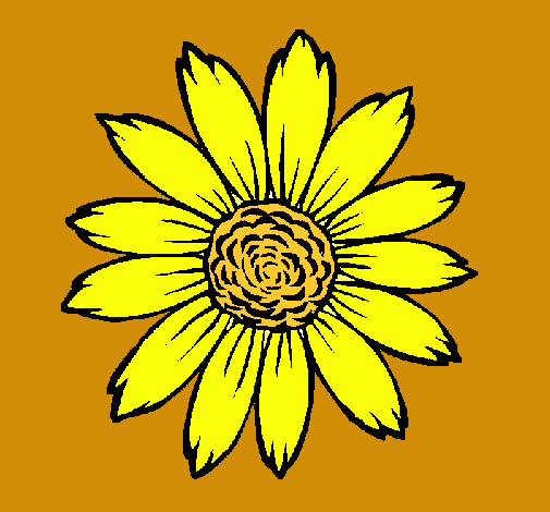 Girasol