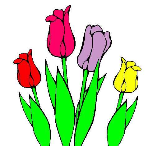 Tulipanes