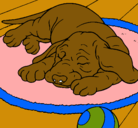 Dibujo Perro durmiendo pintado por maiaparis