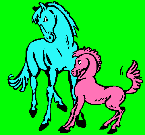 Caballos