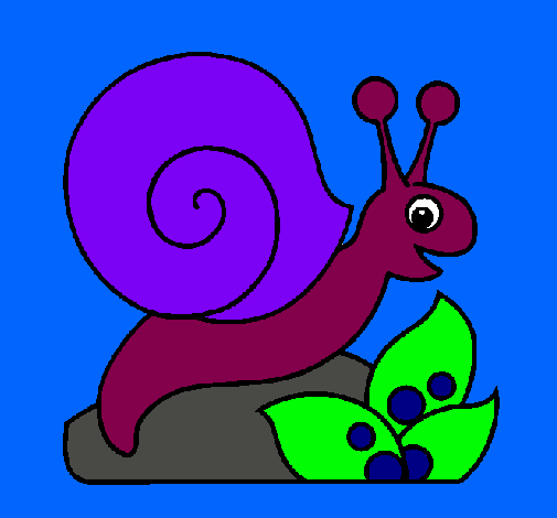 Caracol