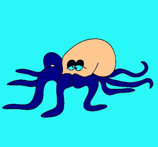 Pulpo