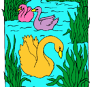 Dibujo Cisnes pintado por liza