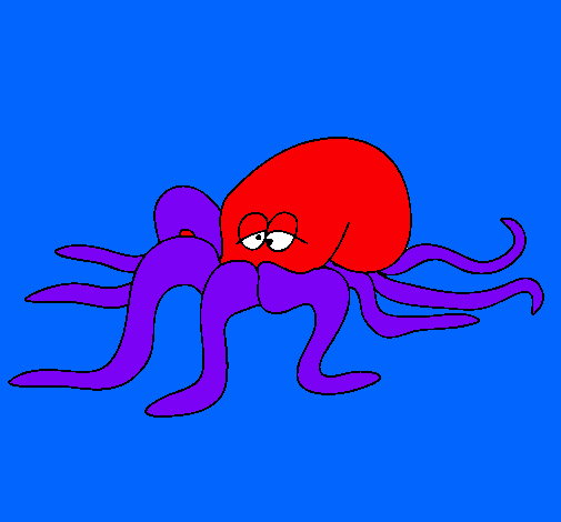 Pulpo