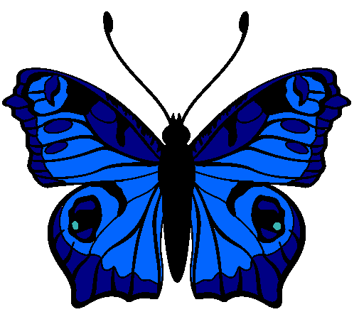 Mariposa 