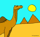 Dibujo Camello pintado por Florchuu