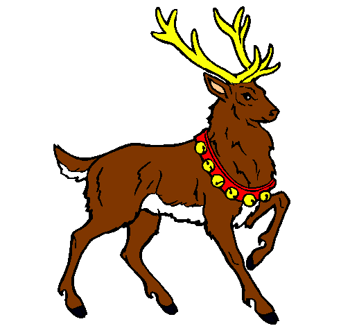 Venado