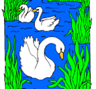 Dibujo Cisnes pintado por azuleta