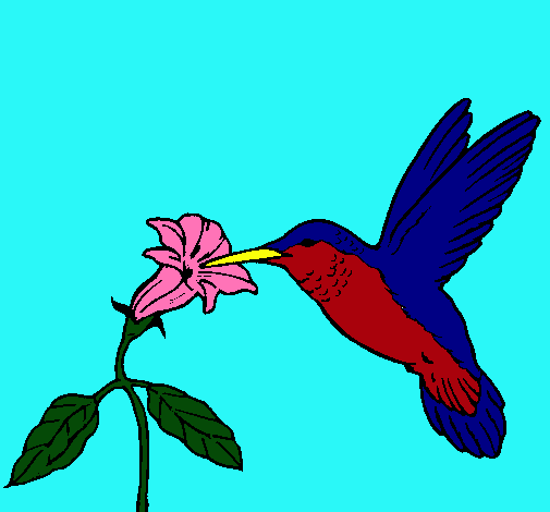 Dibujo Colibrí y una flor pintado por Luisareina