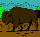 Dibujo Búfalo  pintado por joseramon