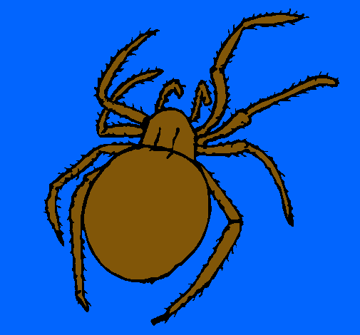 Araña venenosa