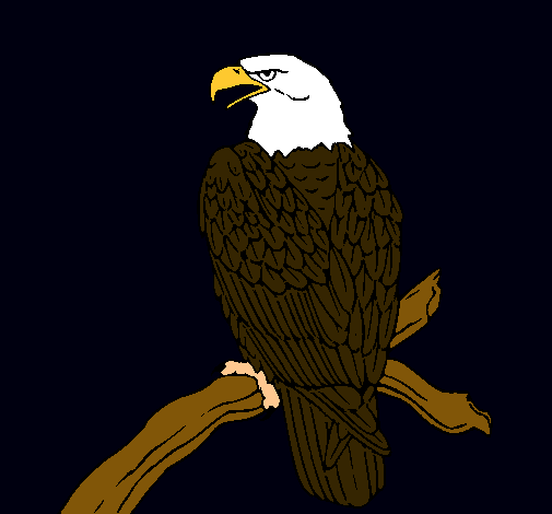 Dibujo Águila en una rama pintado por CR7_