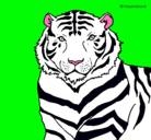 Dibujo Tigre pintado por tigresa