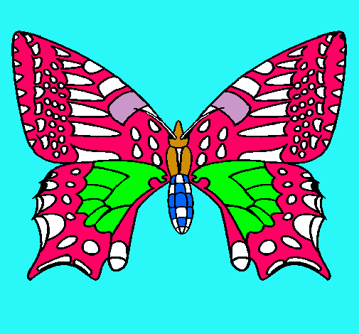 Dibujo Mariposa 5 pintado por ANASTACIA