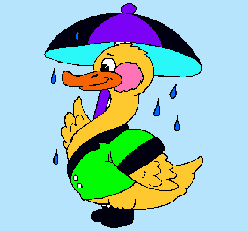 Pato bajo la lluvia