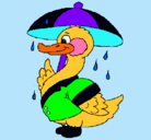 Dibujo Pato bajo la lluvia pintado por annarine