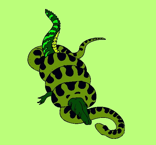 Anaconda y caimán