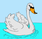 Dibujo Cisne en el agua pintado por pinkigrama