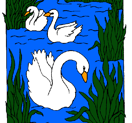 Cisnes