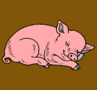 Dibujo Cerdo durmiendo pintado por xcvdtwrtfwef