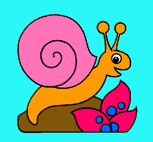 Caracol