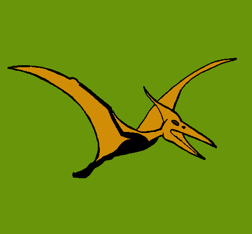 Pterodáctilo