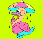 Dibujo Pato bajo la lluvia pintado por IMBA