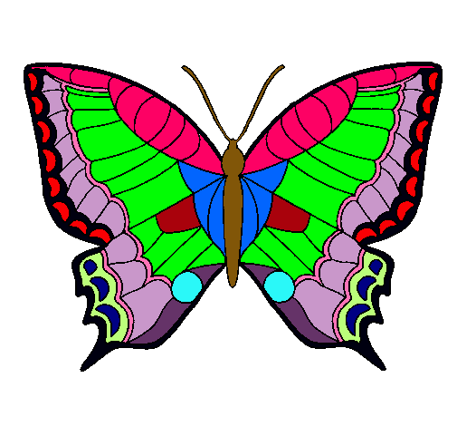 Mariposa