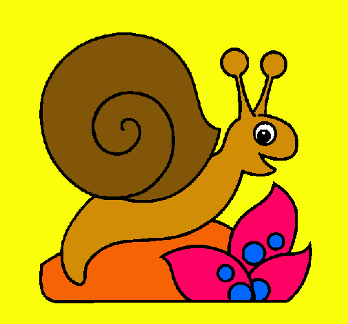 Caracol